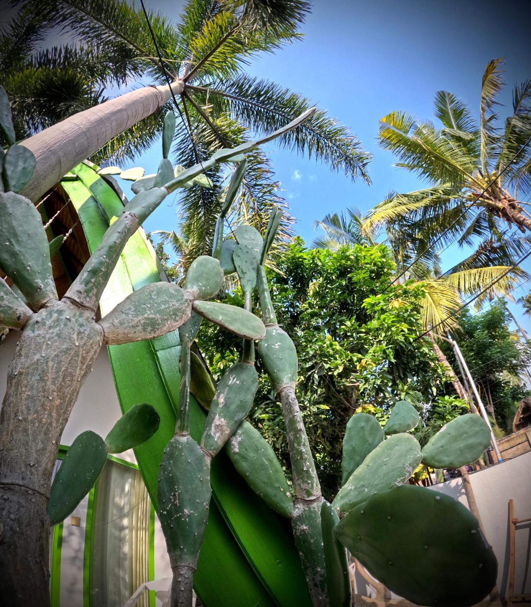 Kaktus Bungalow 1 Gili Air Ngoại thất bức ảnh
