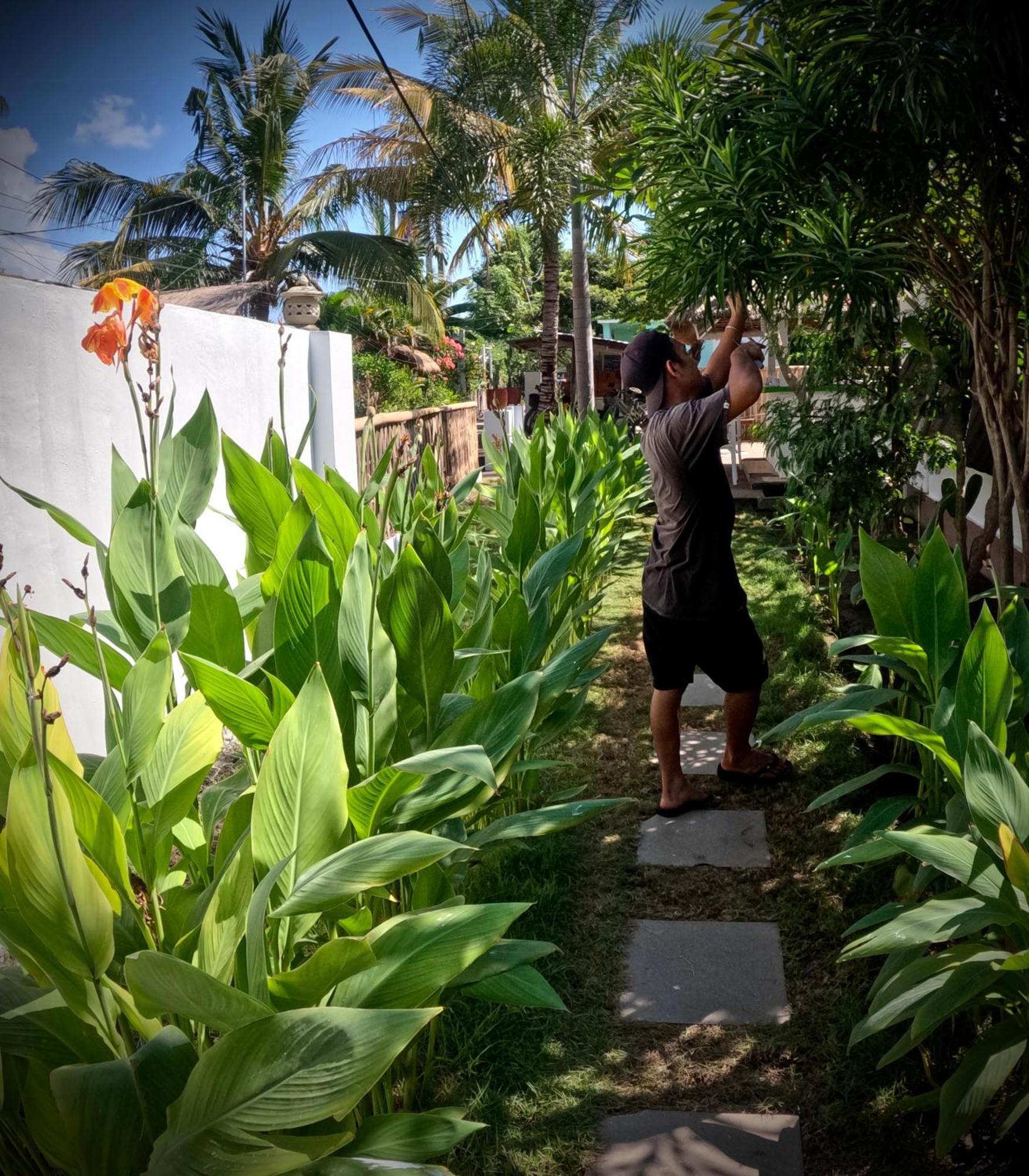 Kaktus Bungalow 1 Gili Air Ngoại thất bức ảnh